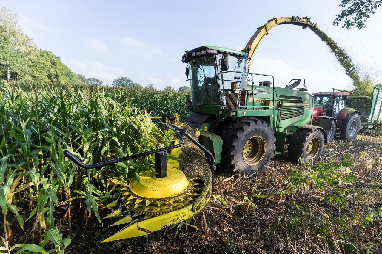 Bild 196 - Maisernte